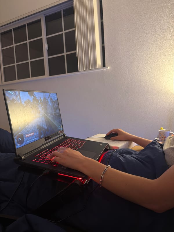 Late-night Portland apartment: gaming, desk work, and a tabby cat