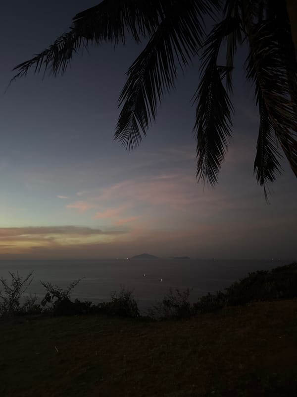 Sunset views and a seaside picnic on Sơn Trà Peninsula