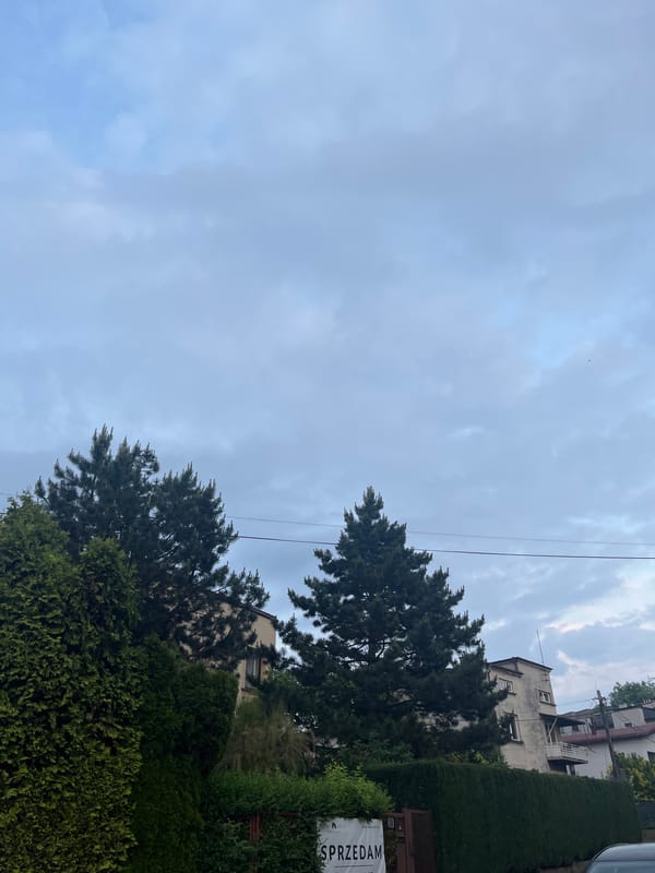 Witness documents suburban streets and gardens during cloudy afternoon
