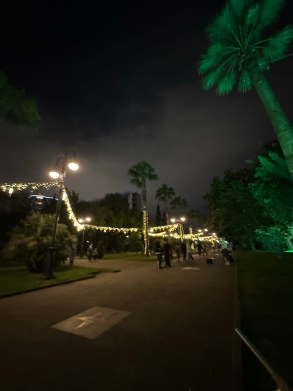Evening scenes captured in Sochi: illuminated walkway, dog in car