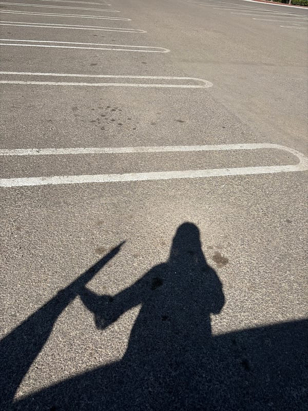 Daily life scenes documented across Puebla metro area