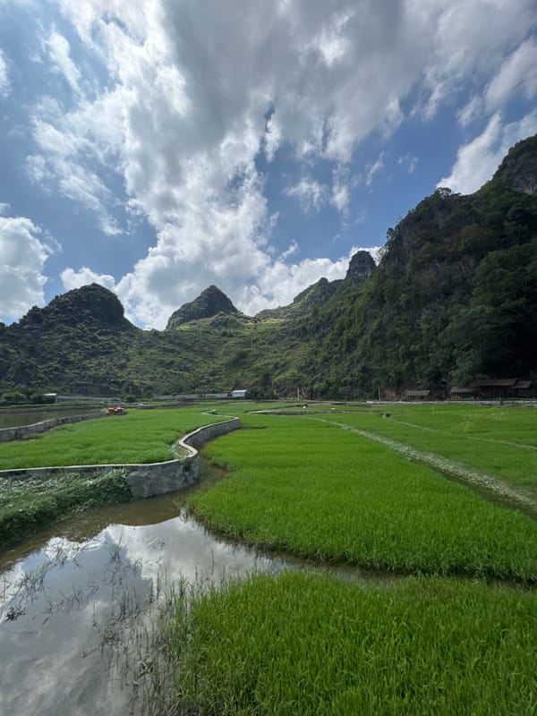 Morning documentation of rural landscapes in Đồng Văn Commune, Vietnam