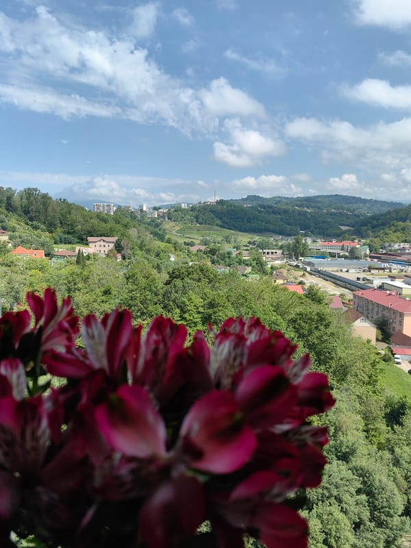 Morning routine documented in Sochi with flowers and city views