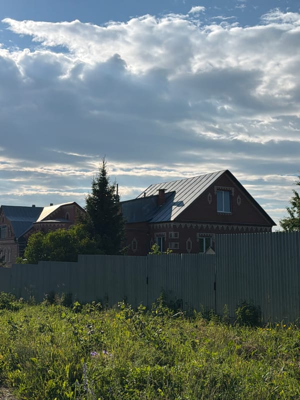 Lazy summer afternoon in a rural village, cats included