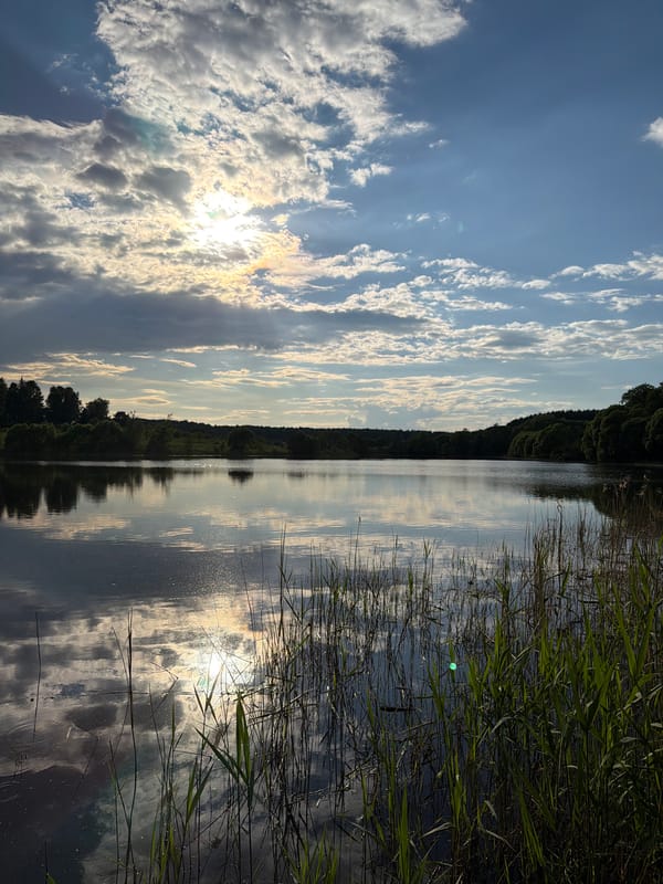 Afternoon scenes captured around Satino-Russkoe waterways and Moscow playground