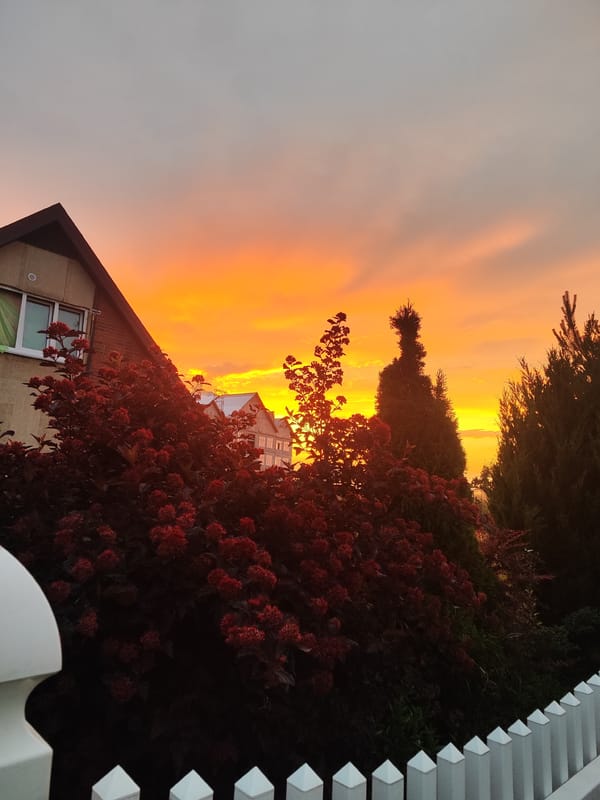 Summer solstice sunset over a Gvardeysk residential garden