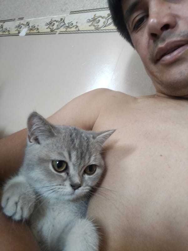 Quiet morning at home in Kokand, kids and a kitten