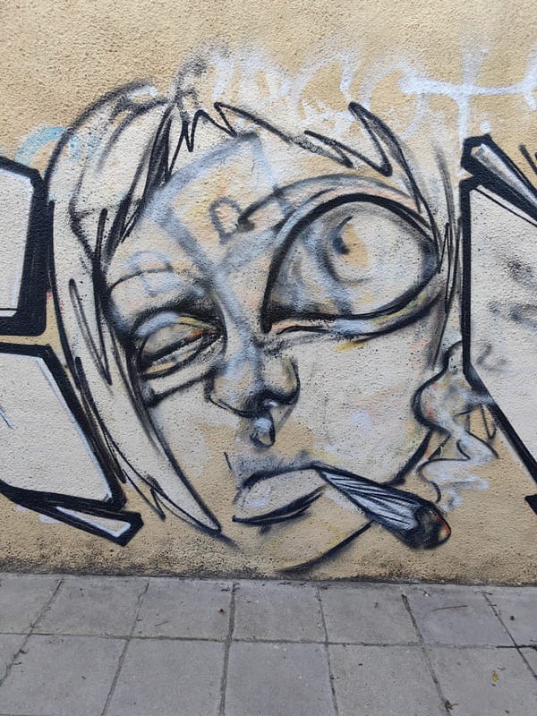 Casual street life documented across Sofia in five-minute span