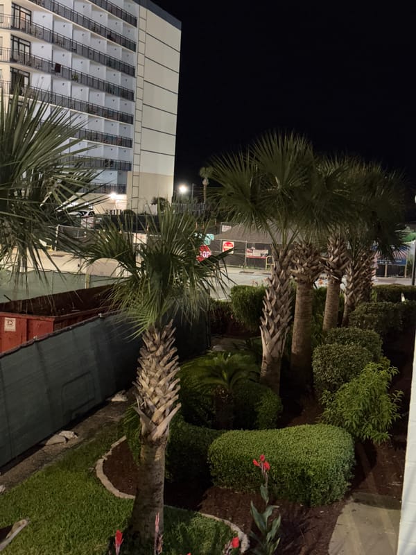 Late-night Myrtle Beach stop with kids and palm trees