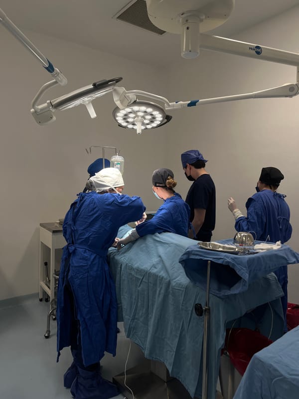 Medical staff perform surgery at Mexico City facility