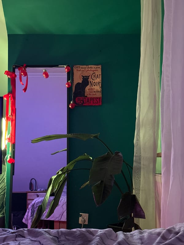 Interior scene with poster, mirror, plant documented in Warsaw