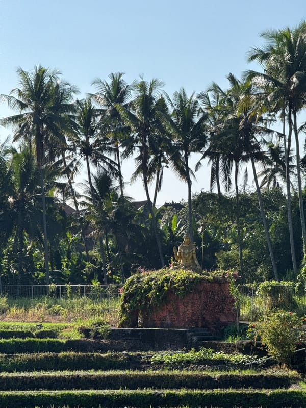 Tropical scenes documented in Ubud District, Indonesia