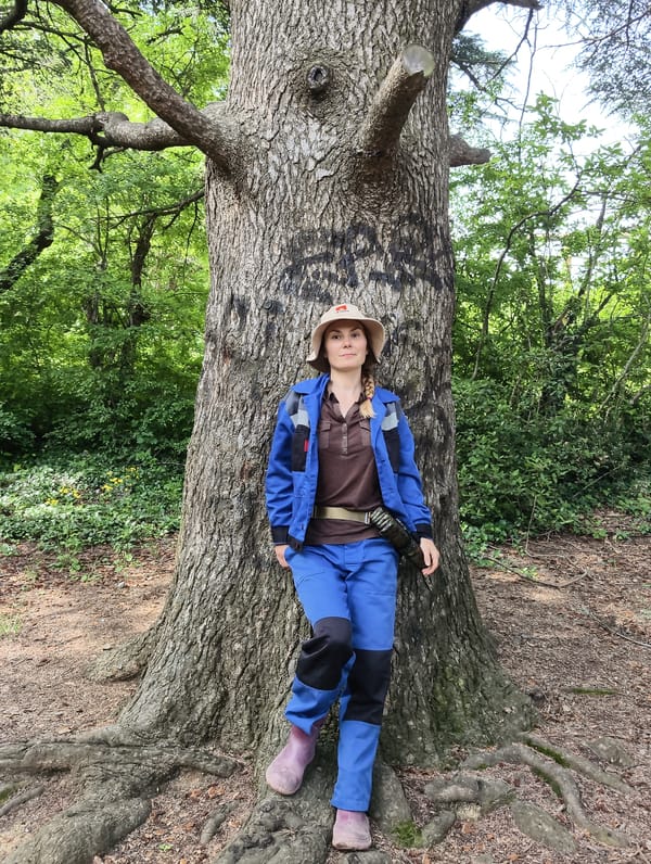 Woman photographed leaning against ancient tree in forest