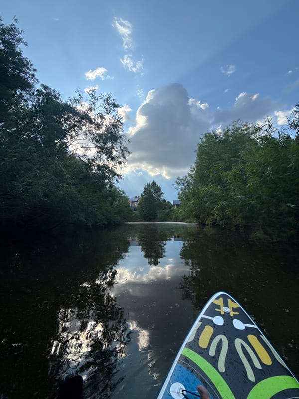 Paddleboarder enjoys serene river journey near Kondratovo, Russia