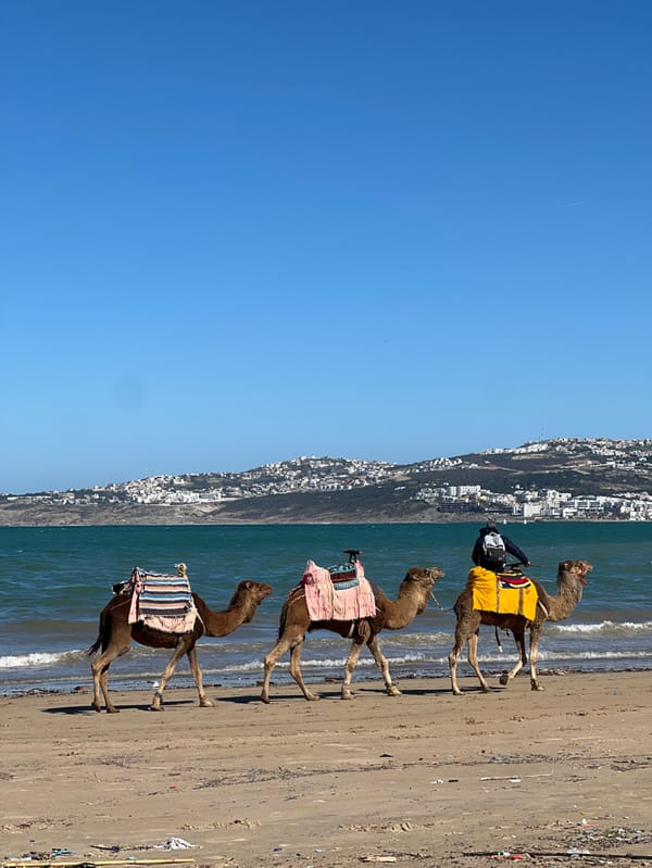 Tangier residents enjoy sunny afternoon at beach and streets