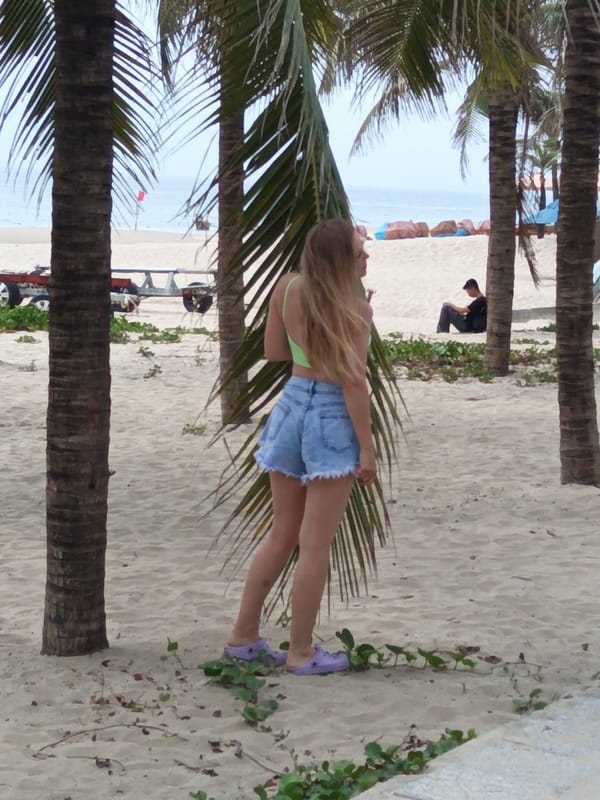 Lazy morning on Da Nang's palm-lined beach