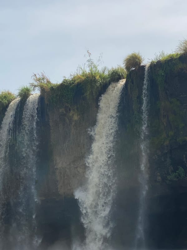 Waterfall and wildlife documented in Maigizo, Nigeria morning scenes