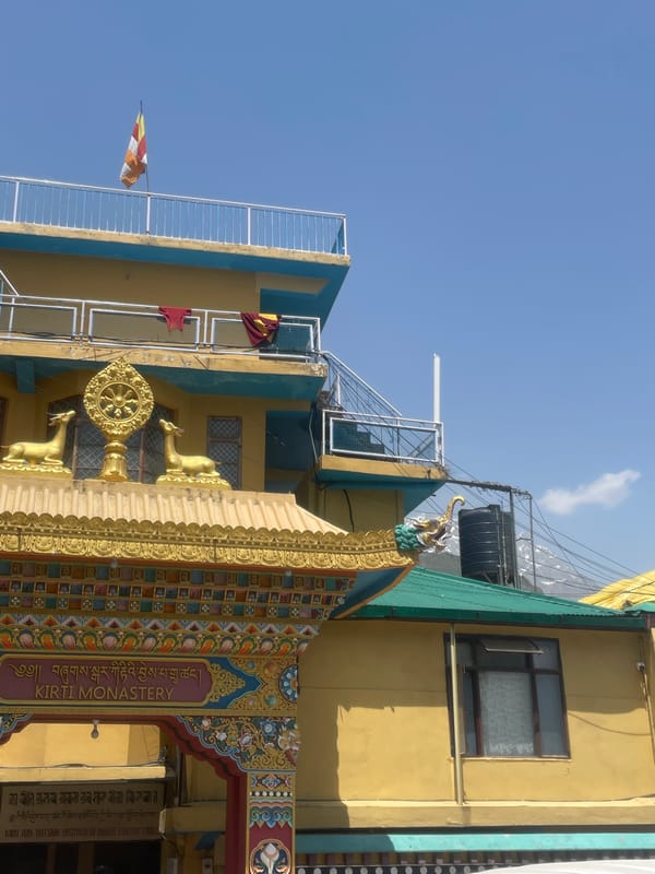 Morning scenes at Kirti Monastery feature blooming purple flowers