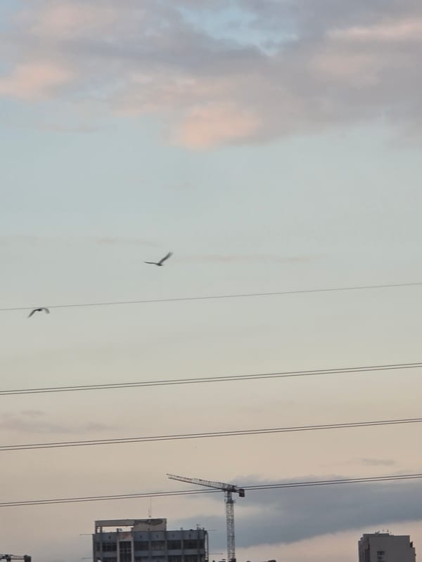 Industrial skyline observed during atmospheric conditions in Burgas, Bulgaria