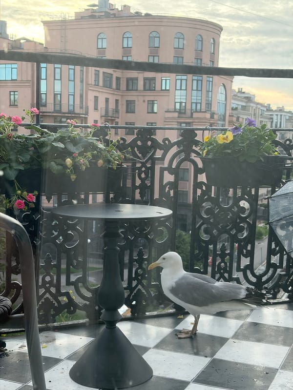 Seagull rests on a tiled Saint Petersburg balcony