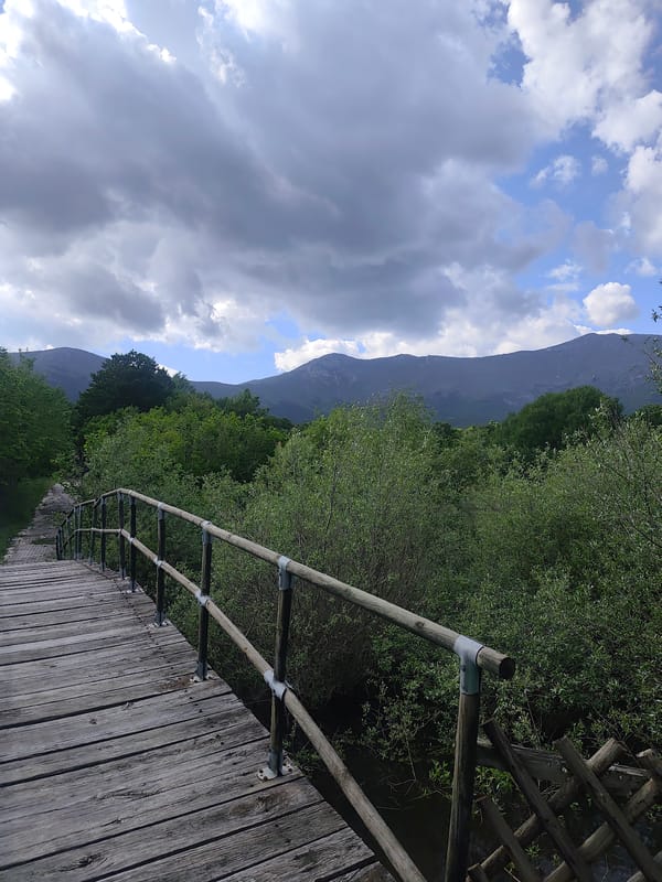 Lakeside scenic views documented during afternoon mountain recreation visit