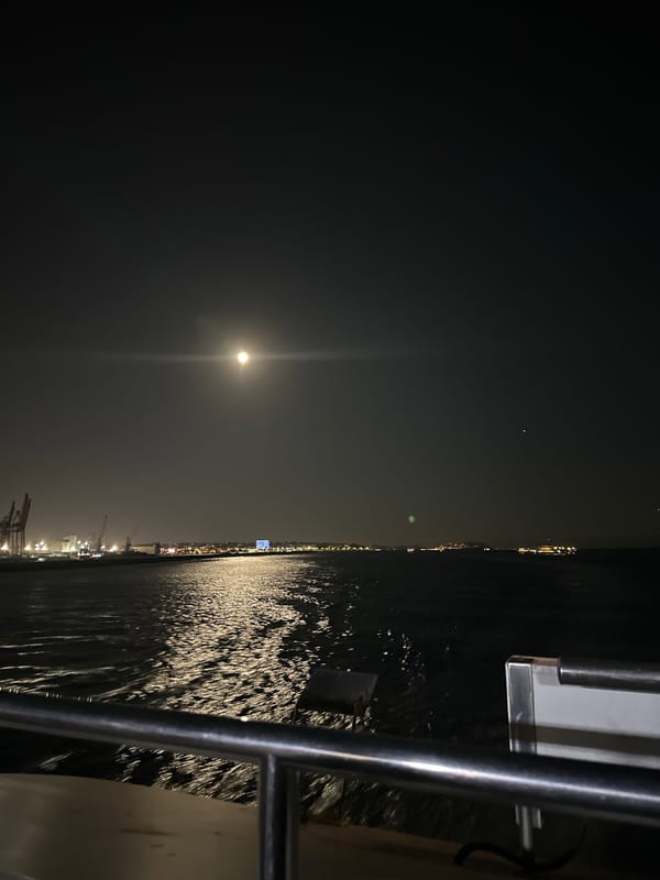 Full moon over the Bosphorus, Istanbul at night