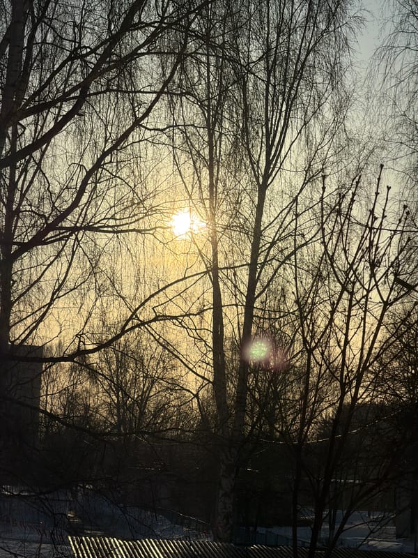 Morning indoor and winter outdoor scenes documented in Izhevsk