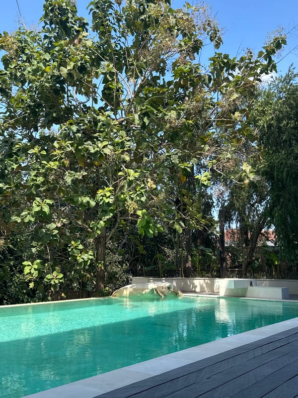 Quiet morning scenes across a Mengwi neighborhood in Bali