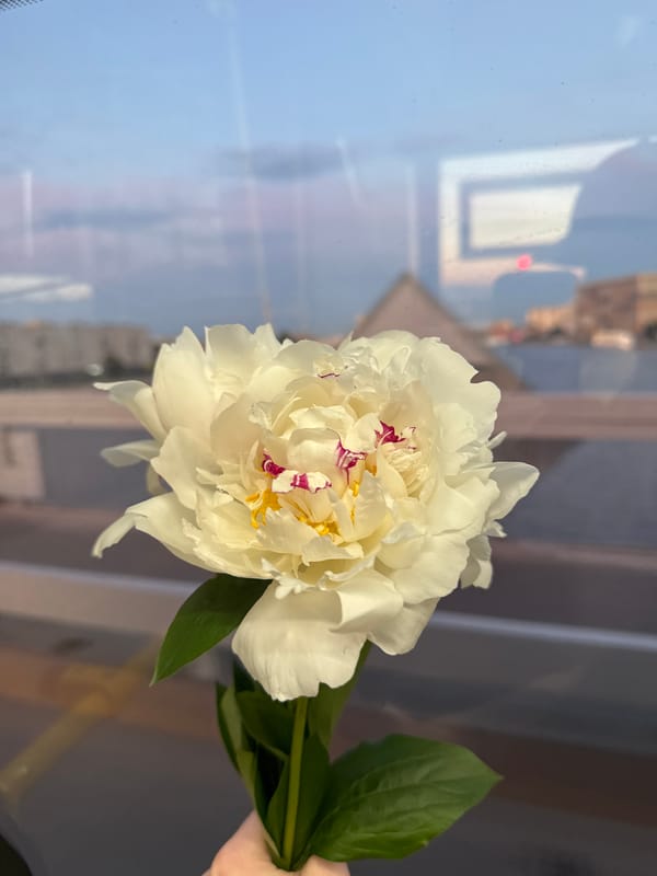 Saint Petersburg, Russia