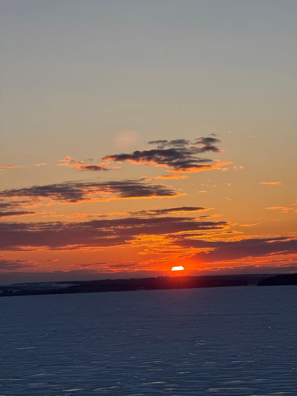 Spring day documented in Votkinsk: children play, ducks swim