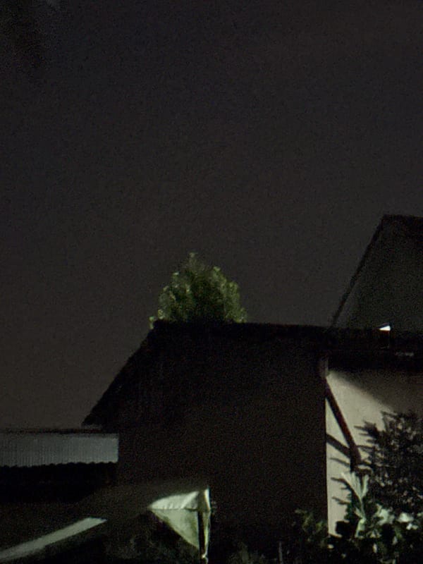 Nightfall in a Vostok garden, moon up and shadows deep
