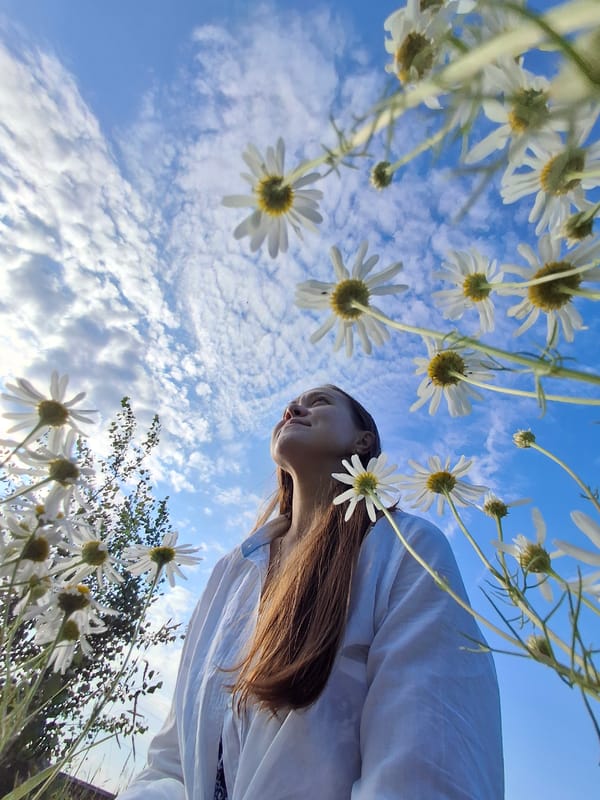 Wildflowers and summer skies in a Chaikovsky field