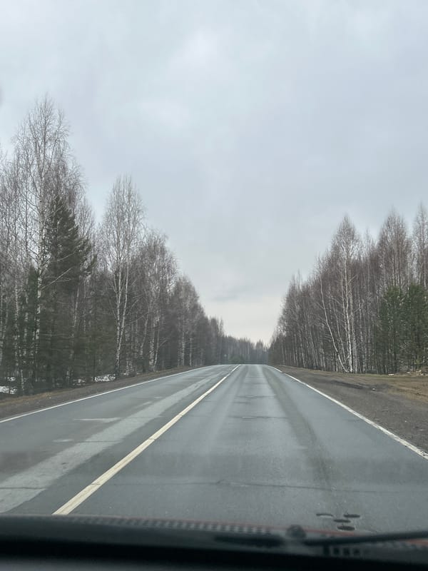 Vehicle travels wet road through bare trees near Zhigalki