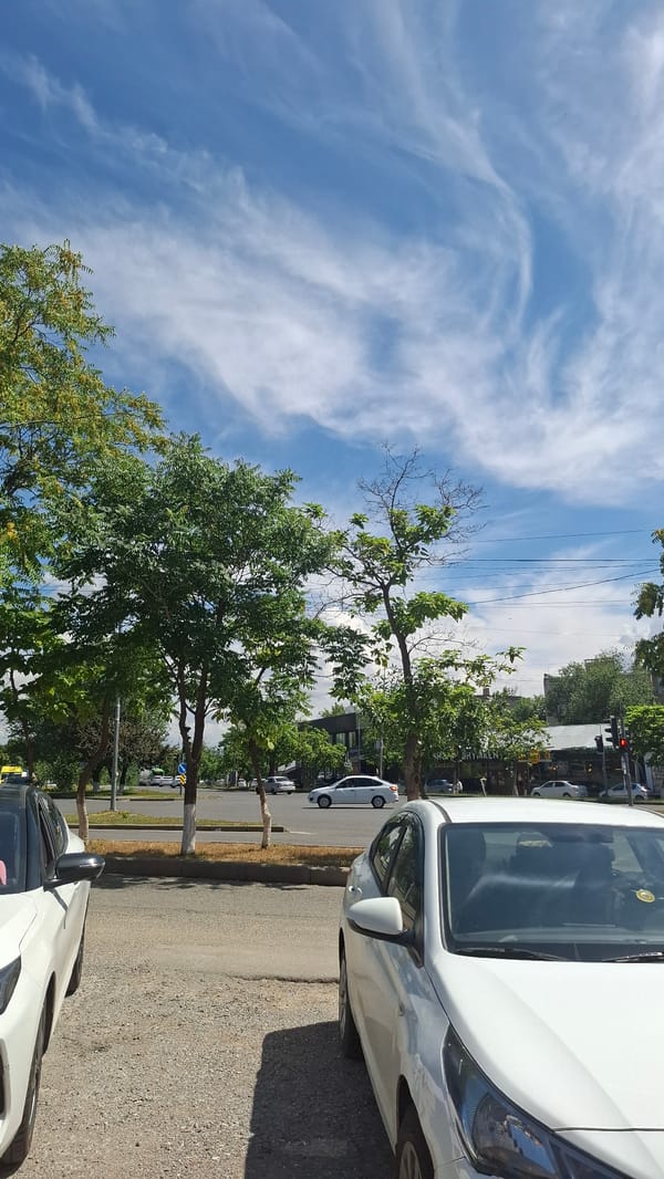 Summer morning in a Shymkent neighborhood: playgrounds, ice cream, everyday streets