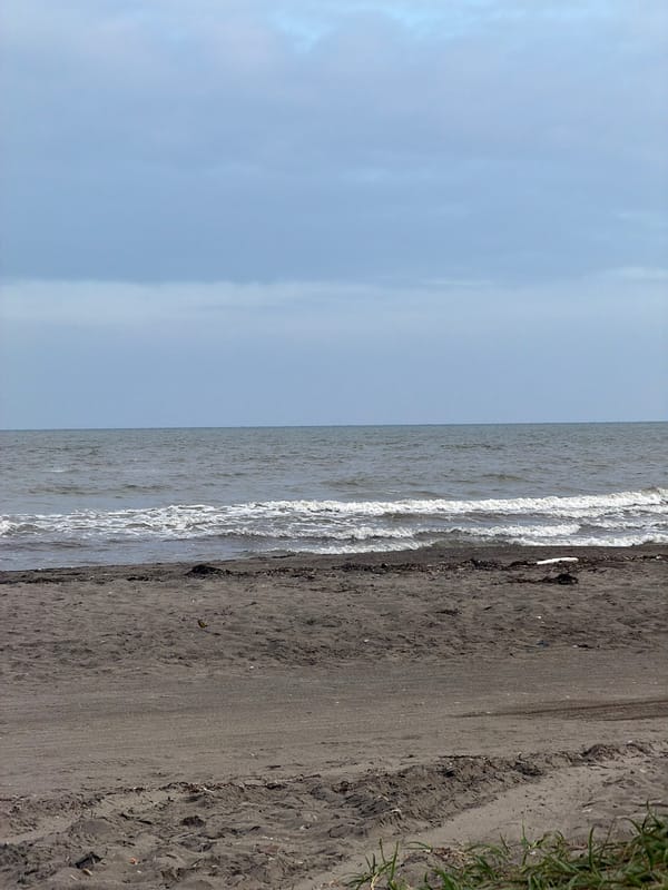 Overcast morning walk along the Sea of Okhotsk near Aniva