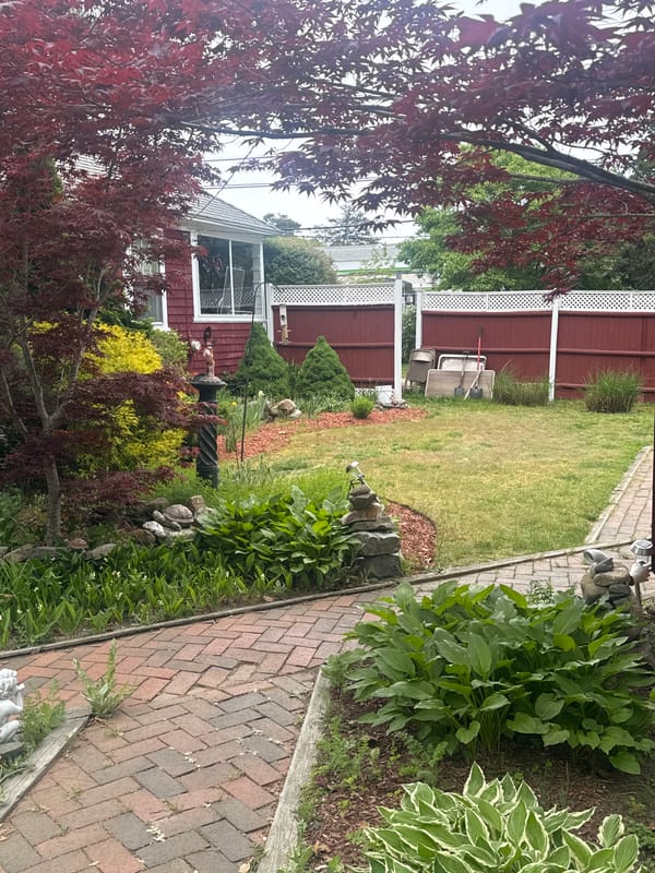 Everyday scenes documented across Eastham, Massachusetts neighborhoods