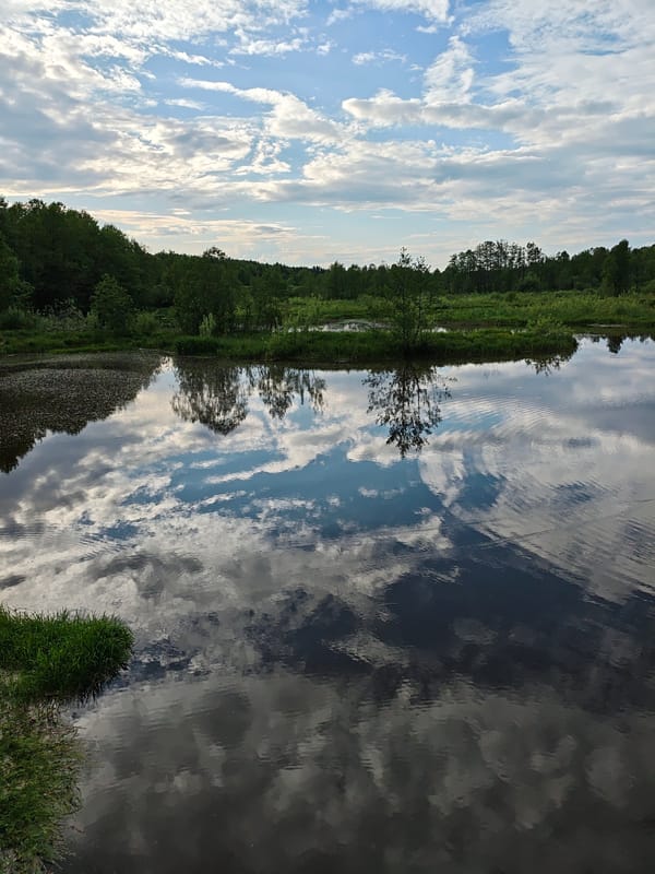 Quiet fishing afternoon captured at Russian village pond