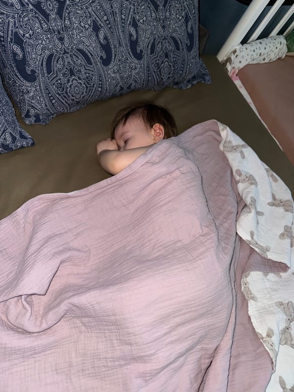 Quiet morning moments documented across Moscow households