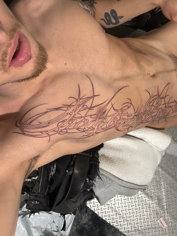 Tattooed person observed on metallic surface in Sofia