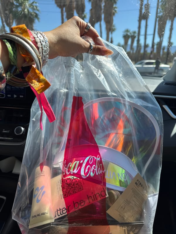 Person displays bag of consumer products in vehicle