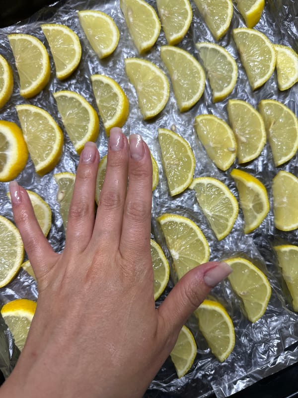 Summer day at home: garden, kids, food prep, and flowers