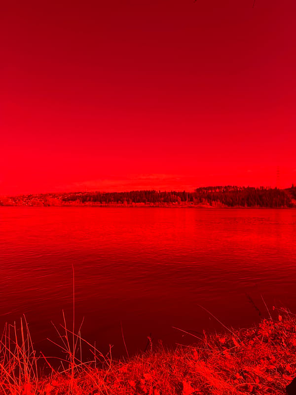 Family enjoys lakeside picnic in Noviy, Russia