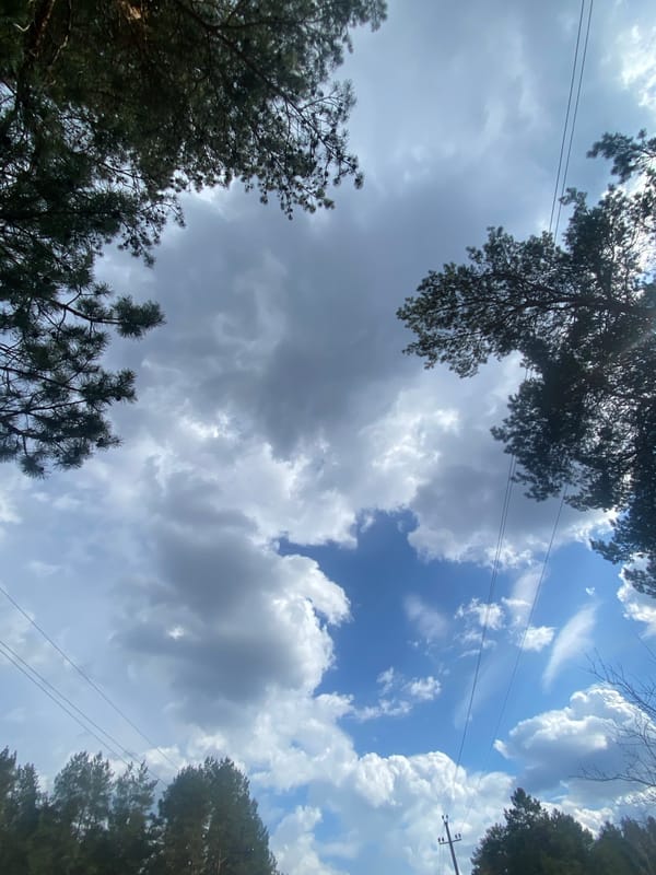 Cloudy sky viewed through tree branches in Belarus