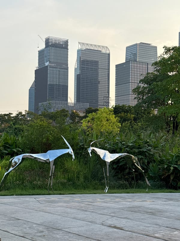 Morning scenes captured at Bangkok urban park with skyline