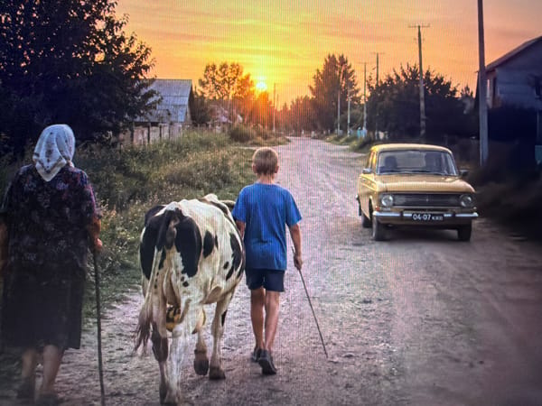 Soccer on a dusty field and a cow walk at golden hour.