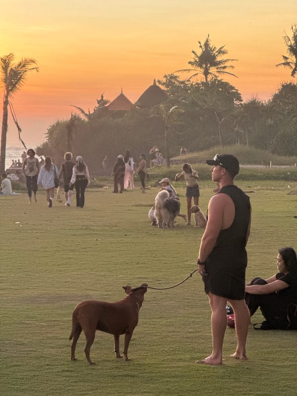 Sunset documented in Mengwi, Indonesia outdoor scene