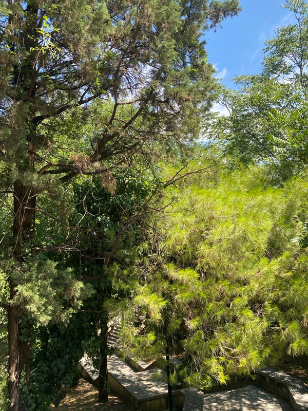 Shaded stream and green park corners in Podgorica