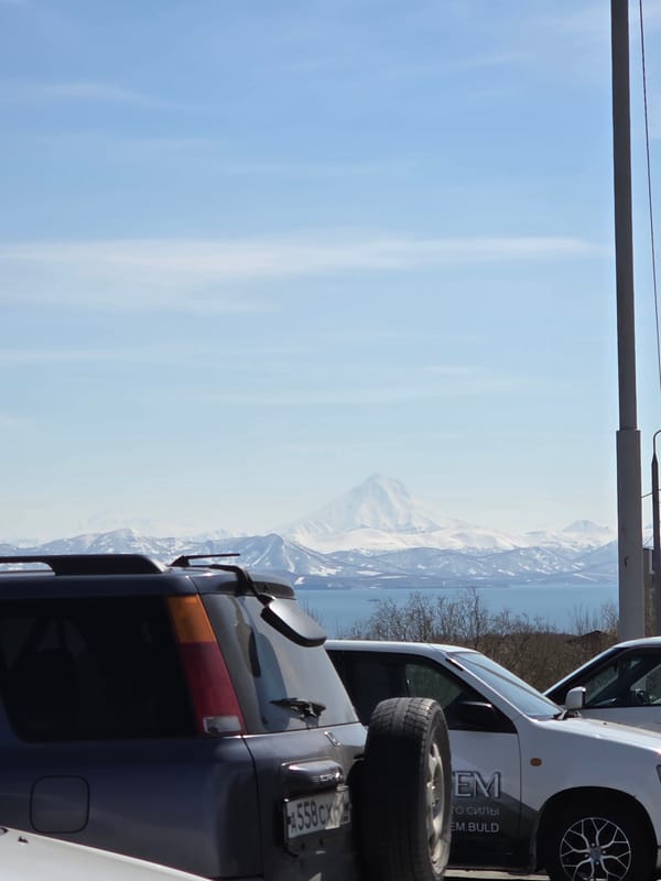 Mountain bay landscape observed with sparse vegetation, clear skies