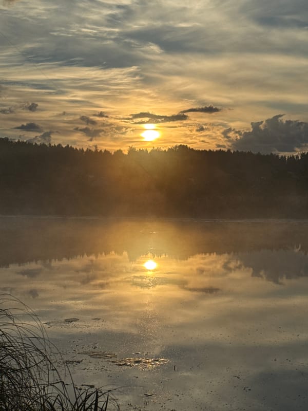 Quiet lakeside morning, misty water and shifting sunrise light