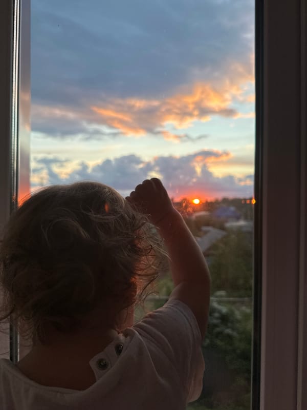 Dramatic sunset draws observers and pets to windows across neighborhood